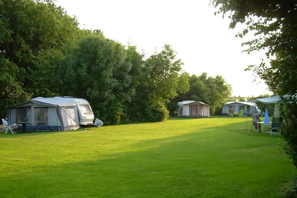 Camping Iepenhoeve grasveld